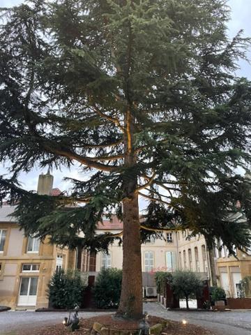 La Cour De La Tresorerie Metz Extérieur photo
